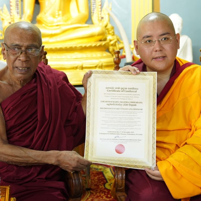 WhatsApp Image 2025-12-12 at 2.46.05 PM